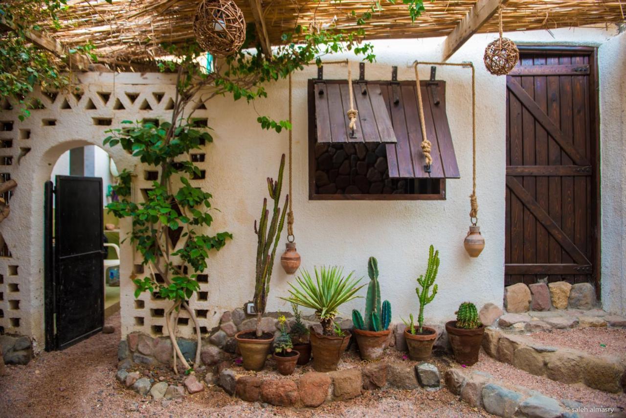 Beit Theresa دهب المظهر الخارجي الصورة